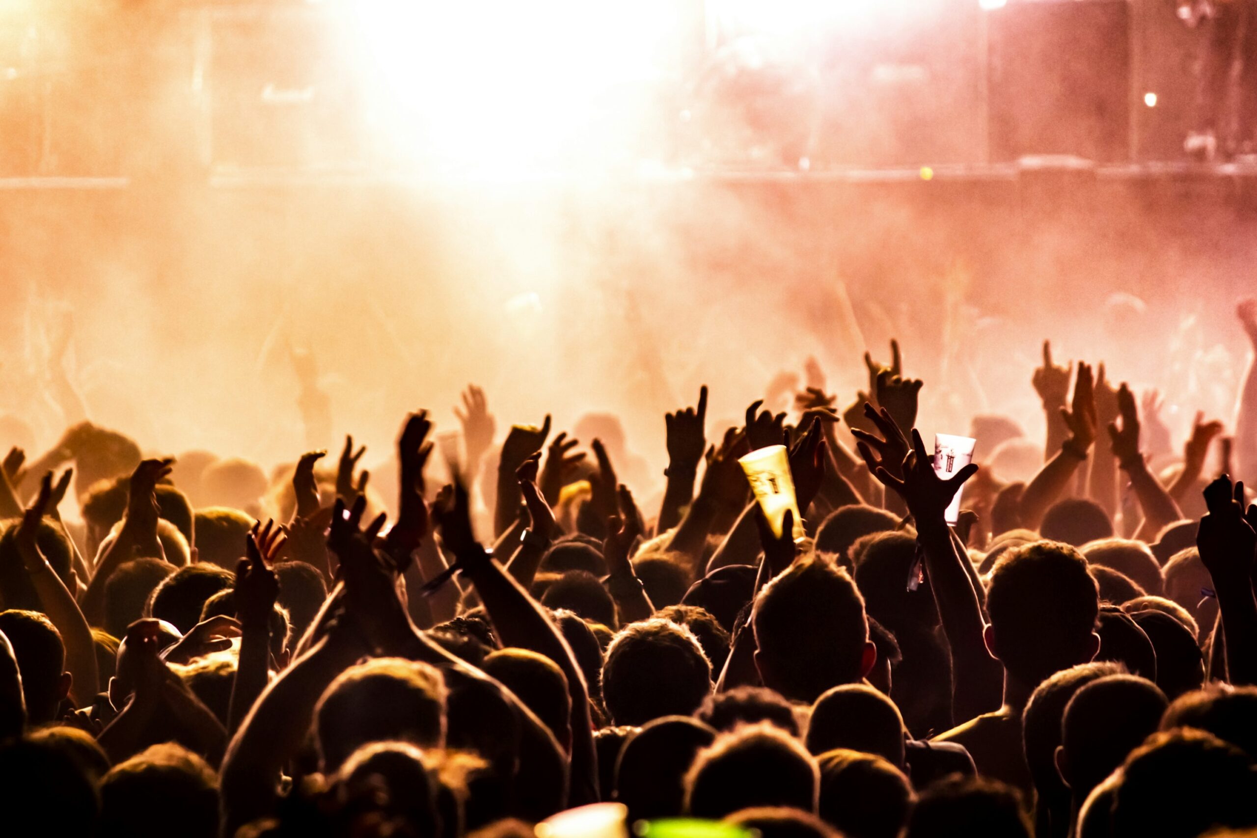 Crowd cheering at a live concert; illustrative photograph by Tijs van Leur / Unsplash